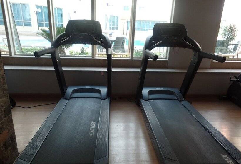 Tolip El Galaa Hotel Cairo