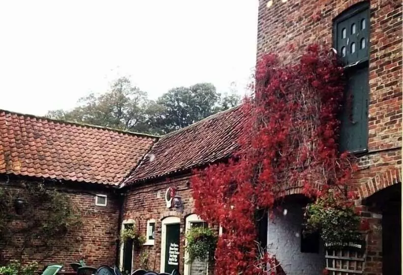 膳宿费 Wolds Village