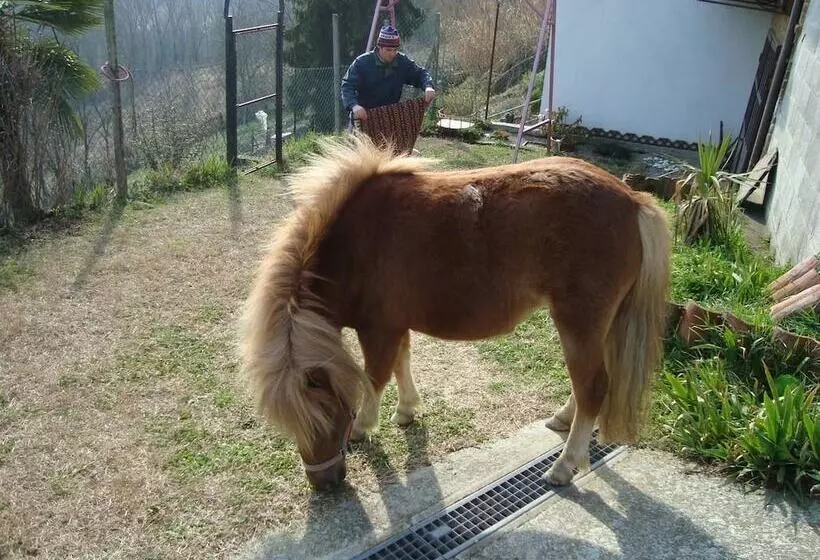 B&b Al Mobile Antico