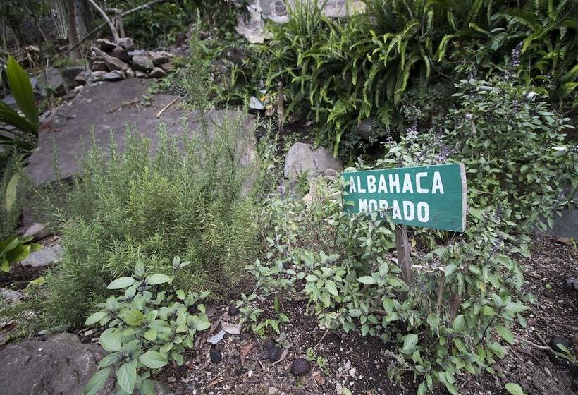 Eco Hotel Uxlabil Atitlan