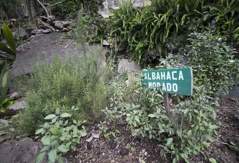 Eco Hotel Uxlabil Atitlan