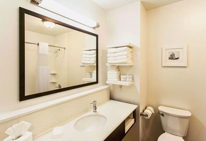 호텔 Hampton Inn Hibbing