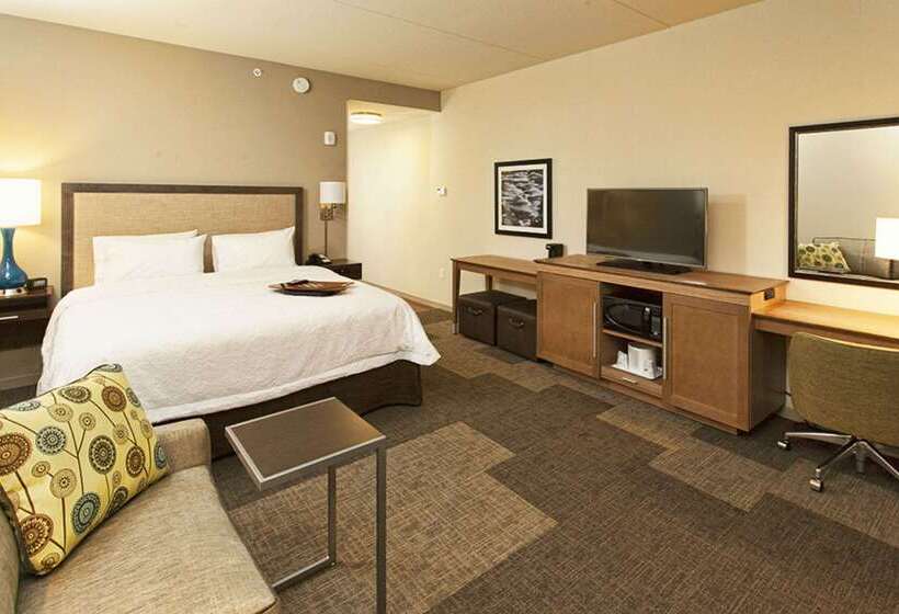 ホテル Hampton Inn Hibbing