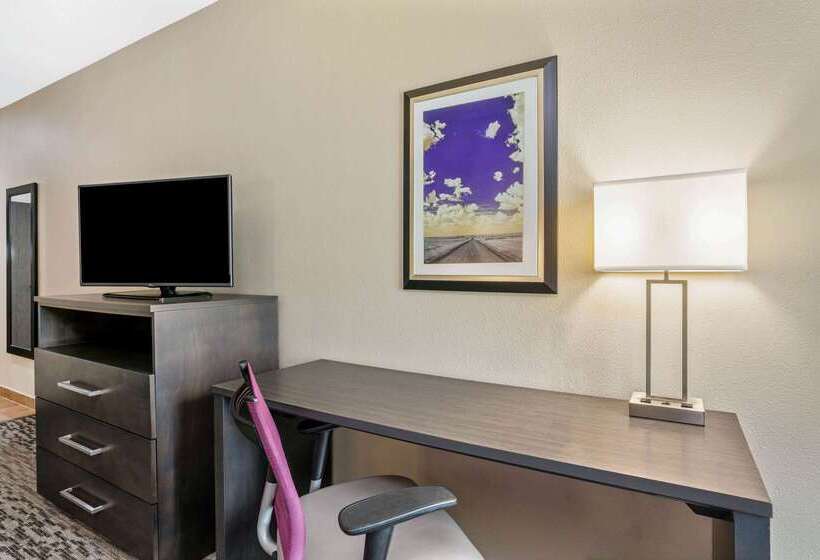 호텔 La Quinta Inn & Suites By Wyndham College Station South