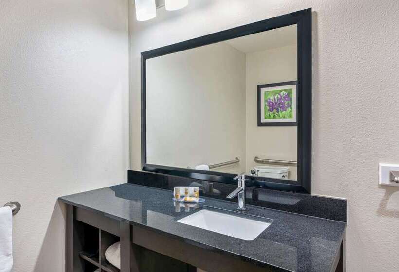 호텔 La Quinta Inn & Suites By Wyndham College Station South