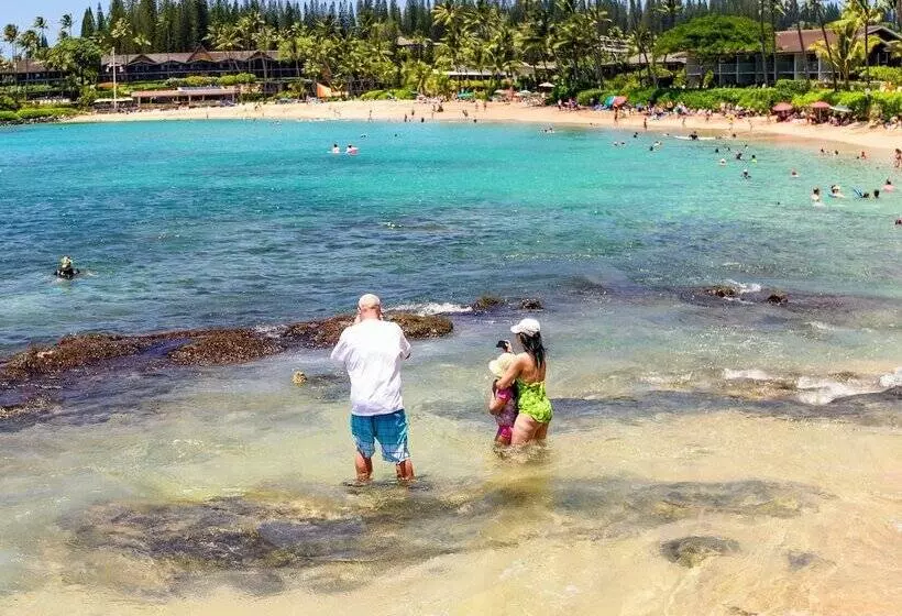 Hotelli Napili Point C 12   2br Condo