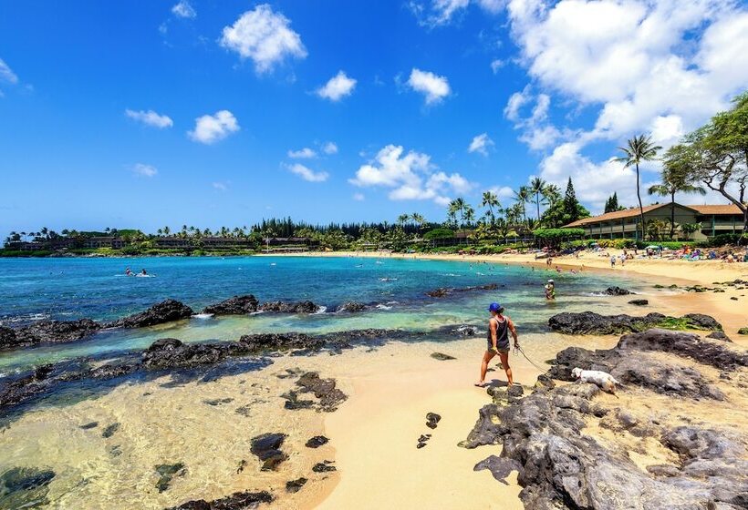 Отель Napili Point C 12   2br Condo