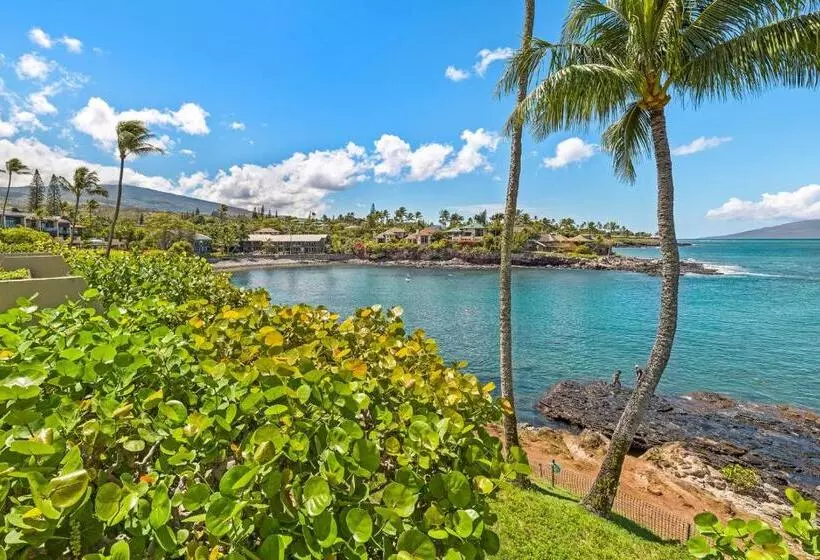 Hotelli Napili Point C 12   2br Condo