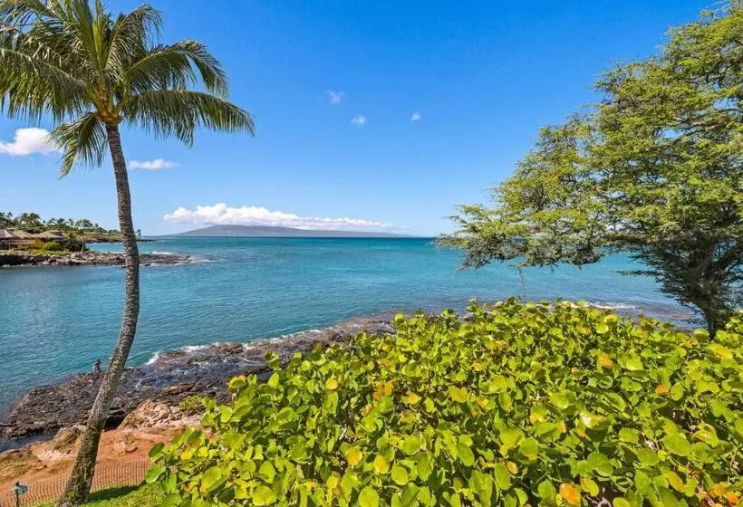 Hotelli Napili Point C 12   2br Condo