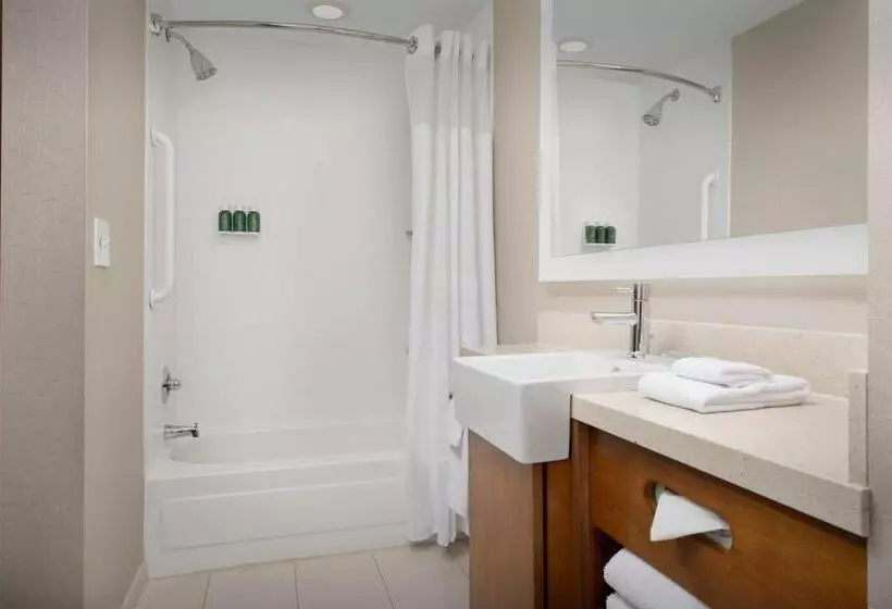 酒店 Springhill Suites By Marriott Tuscaloosa