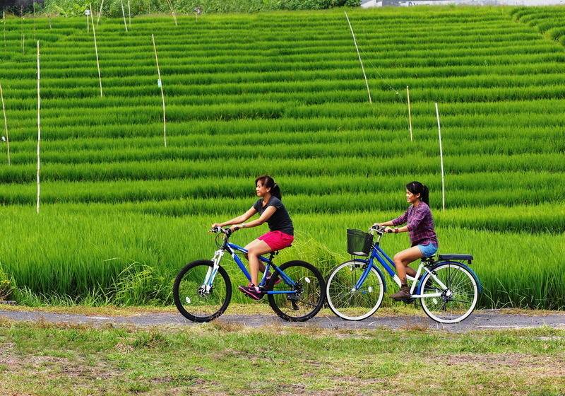 ホテル The Santai By Lifestyleretreats