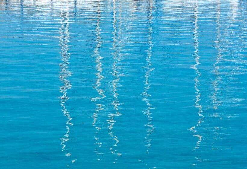 Paradise Design Apartments