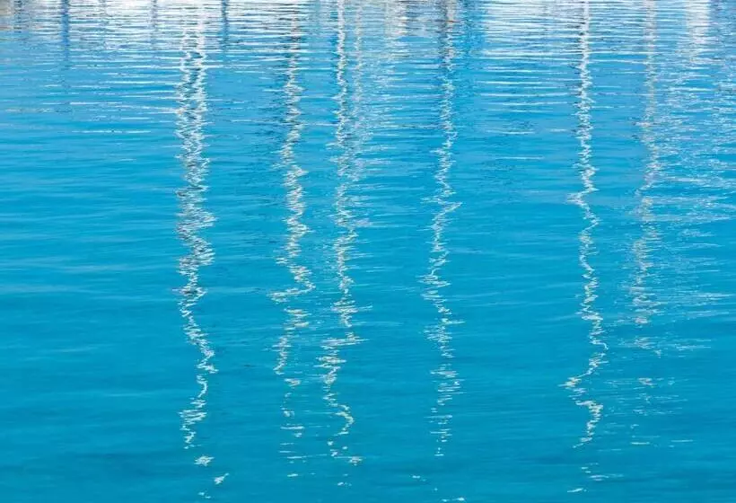 Paradise Design Apartments