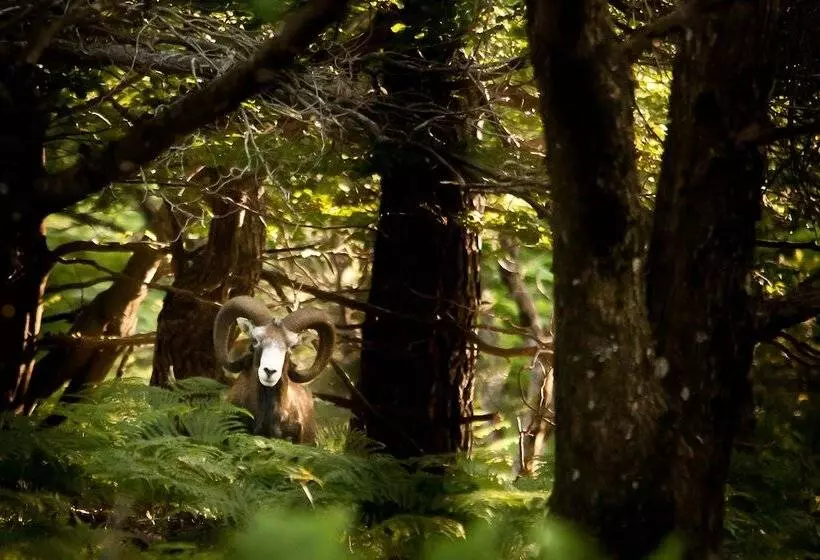 膳宿费 Villa Casa Blanca