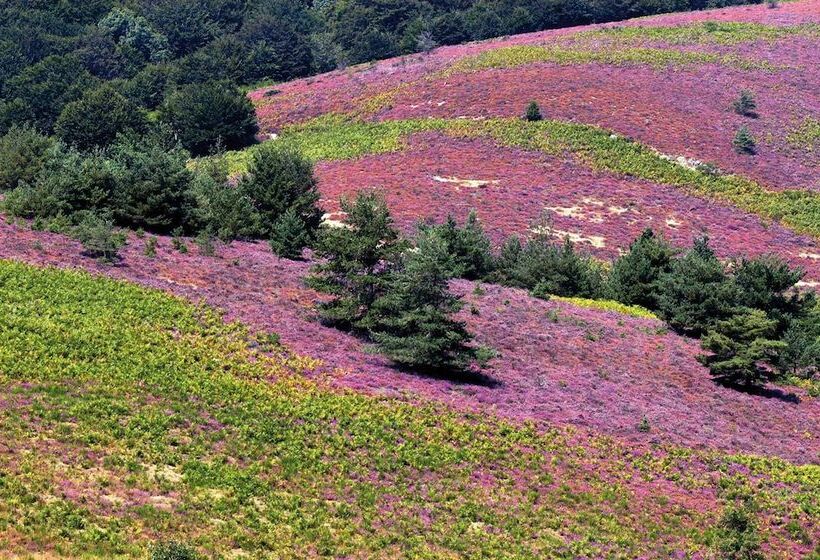 Пансион Villa Casa Blanca