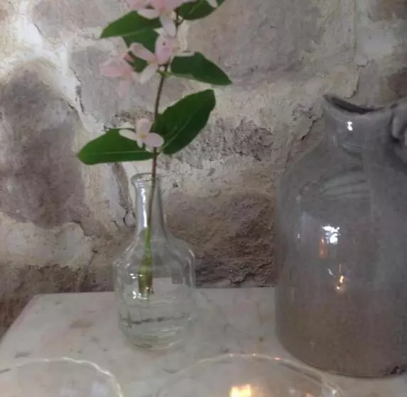 Aamiaismajoitus (B&B) Domaine Charente Glamping Familyroom Le Jardin With External Toilet & Shower House & Outdoor Kitchen