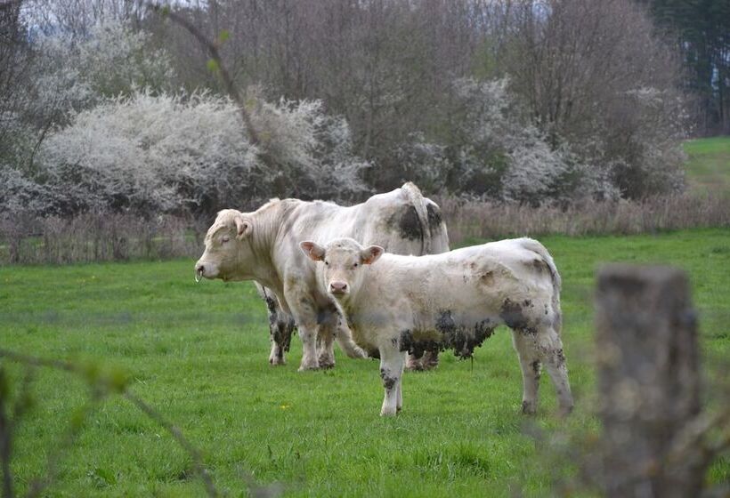 ベッドアンドブレックファースト Domaine La Reveille