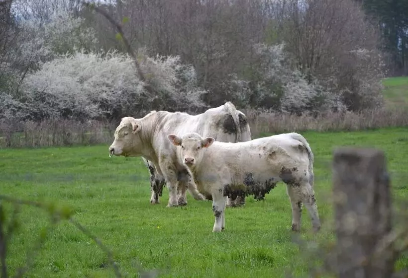 ベッドアンドブレックファースト Domaine La Reveille