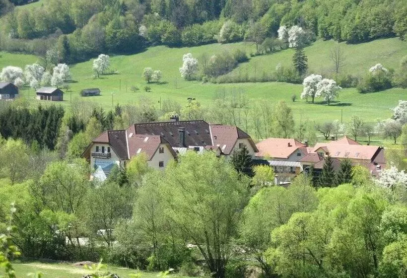 Hotelli Steinschalerhof