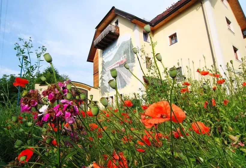 Hotelli Steinschalerhof