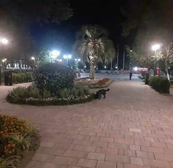 پانسیون Boutique