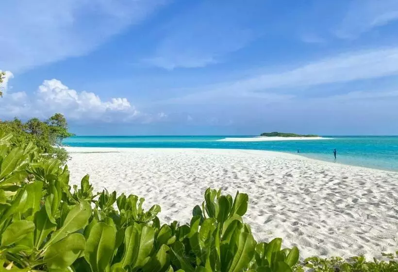 پانسیون Mathiveri Thundi Inn