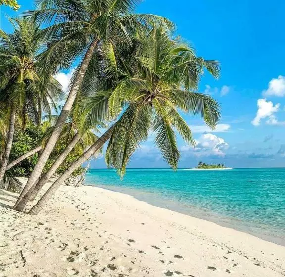 پانسیون Mathiveri Thundi Inn