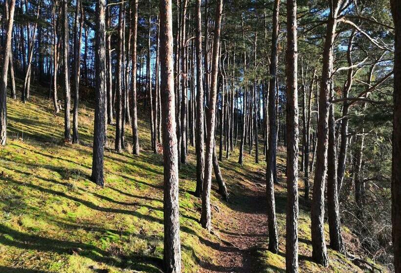 ペンション Statek Vletice