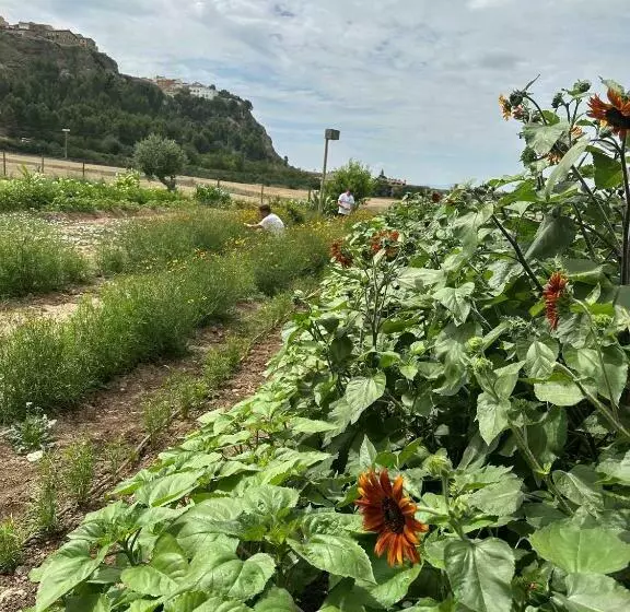 Retkeilymaja Entheos