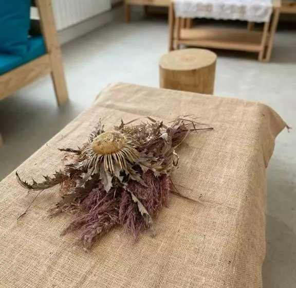 Retkeilymaja Entheos