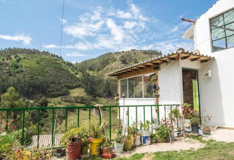 تختخواب و صبحانه Hospedaje Bella Vista Mongui