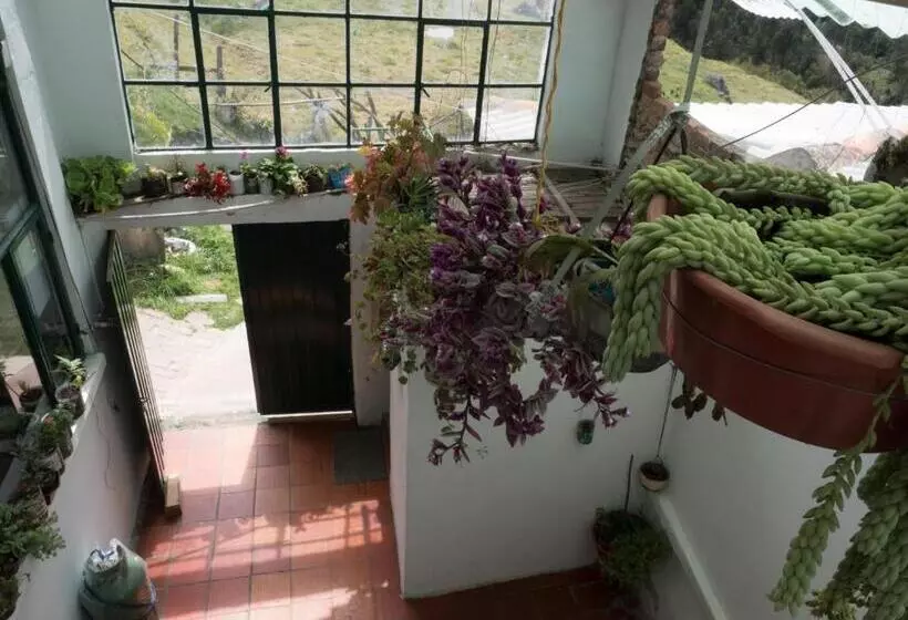 Aamiaismajoitus (B&B) Hospedaje Bella Vista Mongui