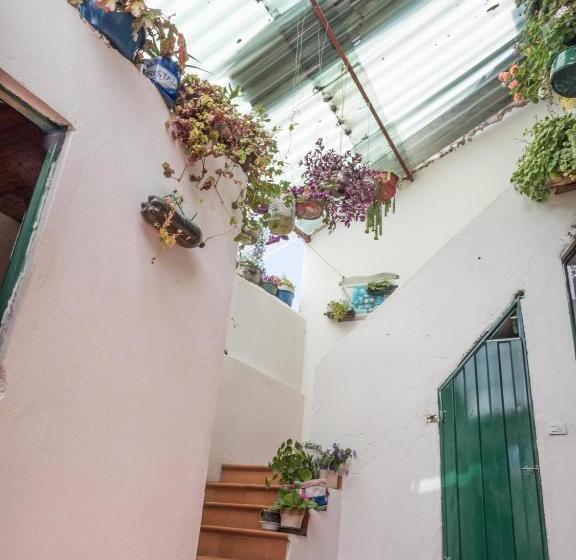 تختخواب و صبحانه Hospedaje Bella Vista Mongui