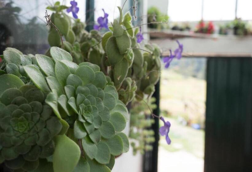 تختخواب و صبحانه Hospedaje Bella Vista Mongui