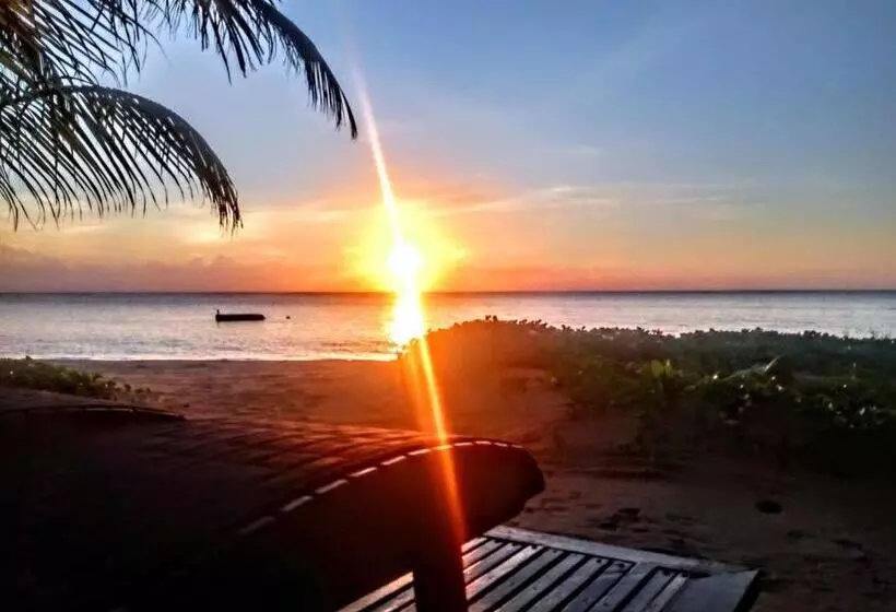 Hotelli Little Corn Island Beach And Bungalow