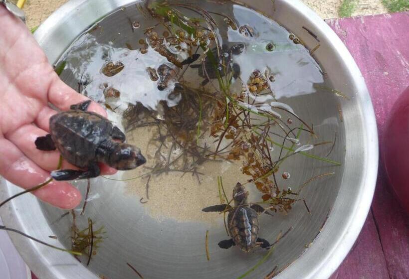 هتل Little Corn Island Beach And Bungalow