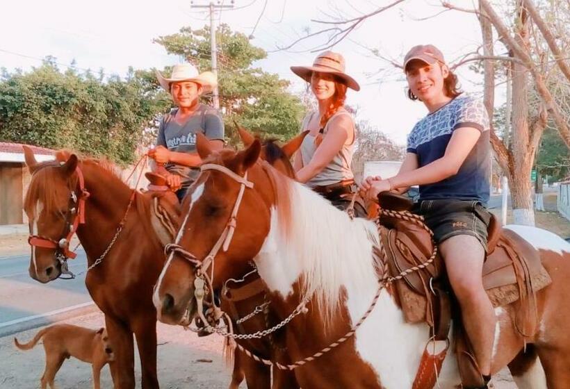 بنسيون Hostal Villa Mercedes