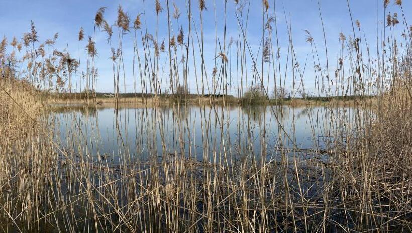 Пансион Bořikovský Dvůr