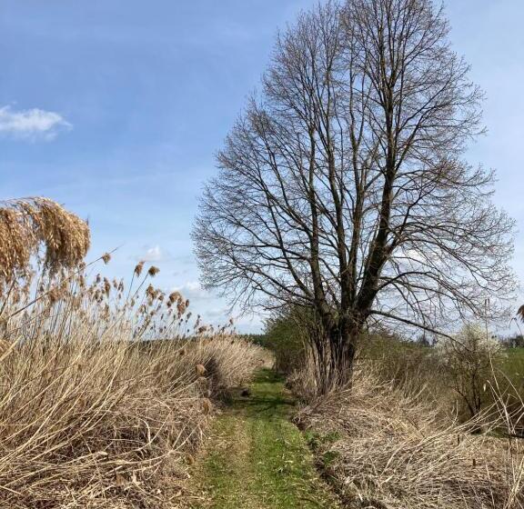 Пансион Bořikovský Dvůr