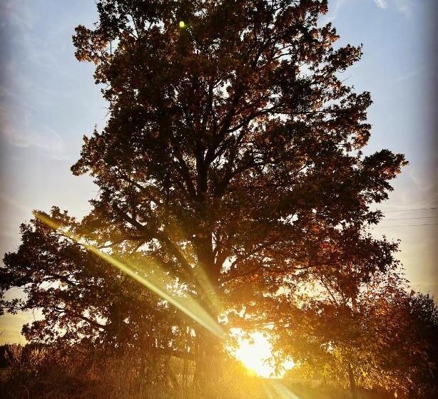 Пансион Bořikovský Dvůr