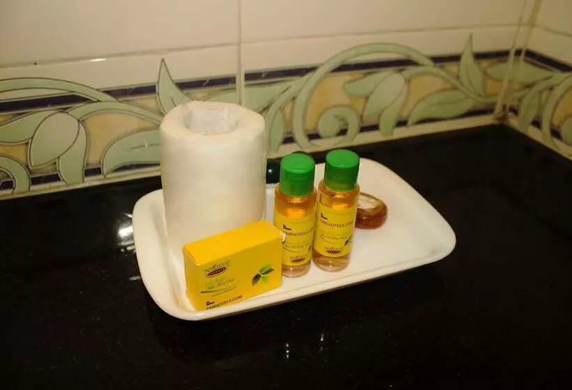 Отель Oriva Vinflora Residency Jubilee Hills