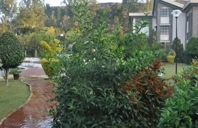 Отель Blue Country Resort