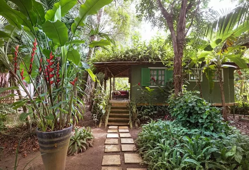 هتل Butterfly House Bahia