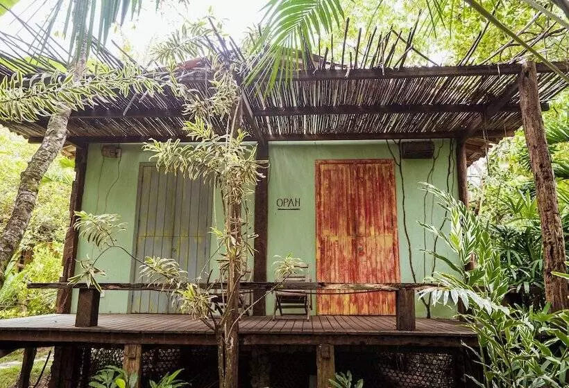 هتل Butterfly House Bahia