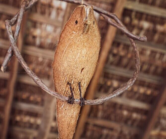 호텔 Butterfly House Bahia