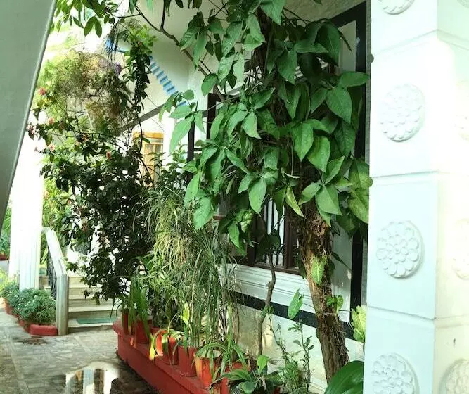 בית מלון כפרי Dream Catcher Home Stay