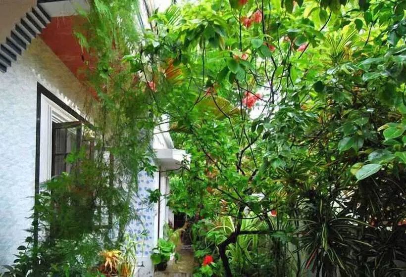 בית מלון כפרי Dream Catcher Home Stay