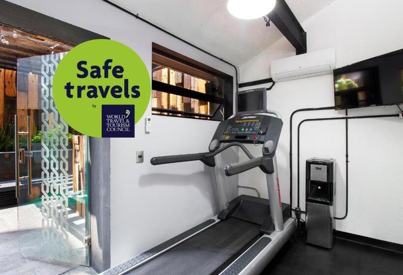 Отель Mx Aeropuerto