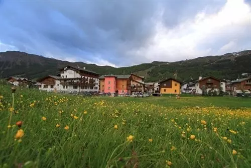 Bio Hotel Villa Cecilia