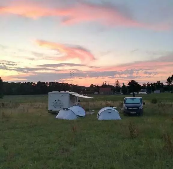 B&b Roos 14